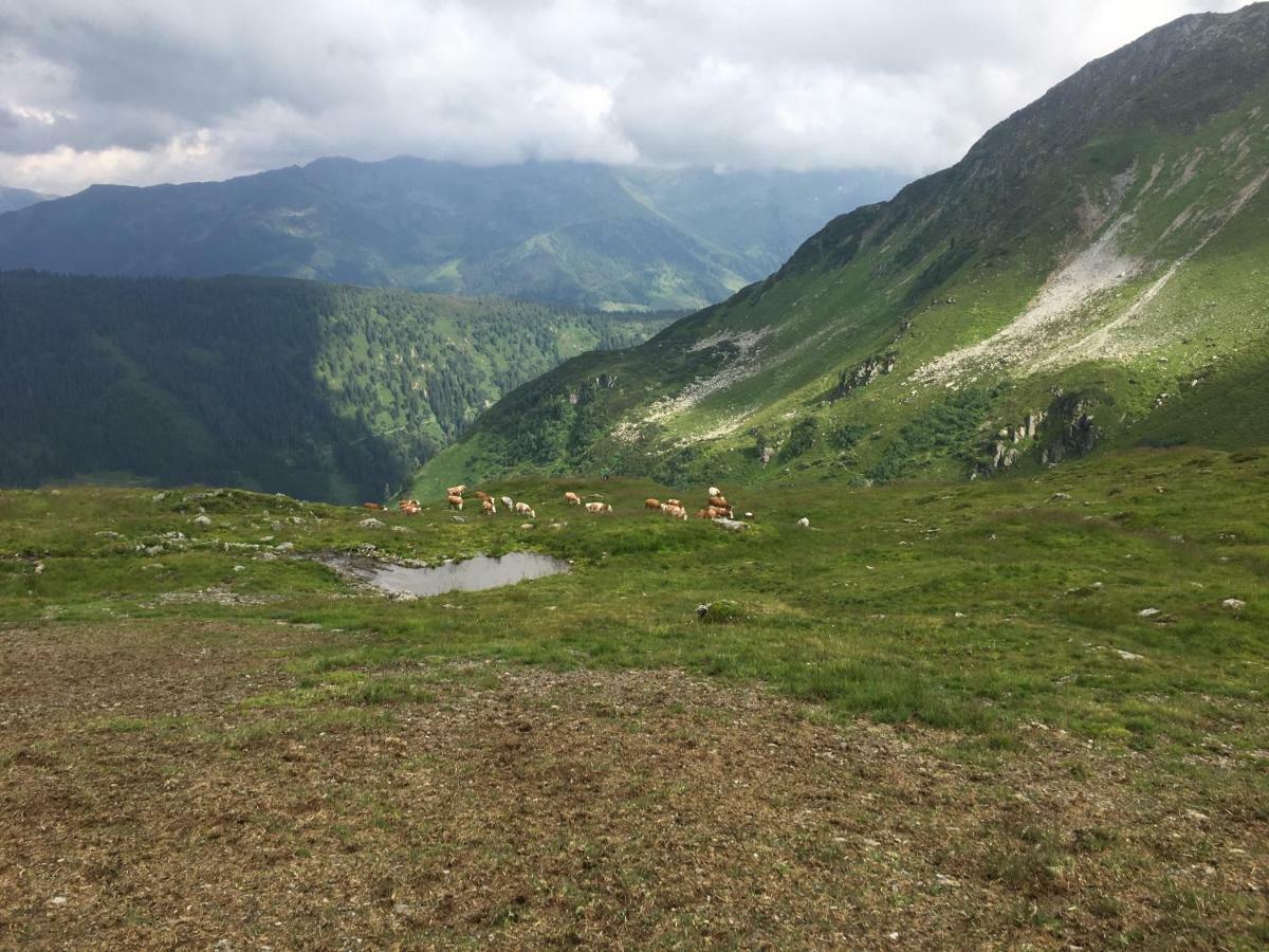 Appartement Muehlhaeusl Auffach Luaran gambar